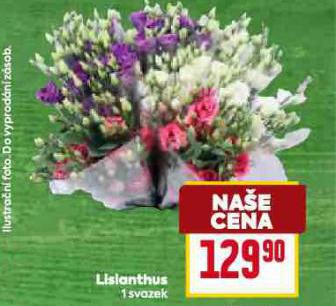 LISLANTHUS