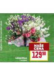 LISLANTHUS