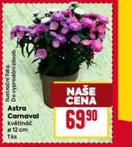 ASTRA CARNAVAL