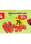 RAJATA NA VTVICE