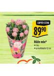 RَE MIX