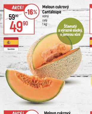 MELOUN CUKORV CANTALOUPE