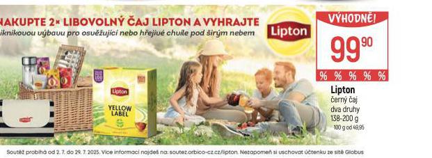 LIPTON ERN AJ