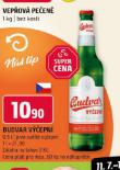 BUDVAR VEPN