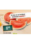MELOUN VODN