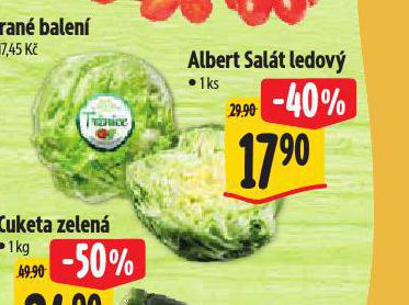 SALT LEDOV
