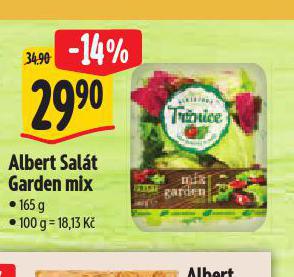 SALT GARDEN MIX