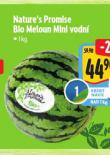 BIO MELOUN MINI VODN