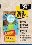GRANULE PRO PSY