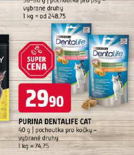PURINA DENTALIFE CAT POCHOUTKY PRO KOKY