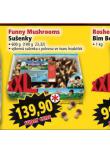 FUNNY MUSCHROOMS SUENKY