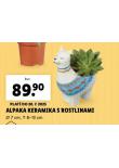 AKPAKA KERAMIKA S ROSTLINAMI