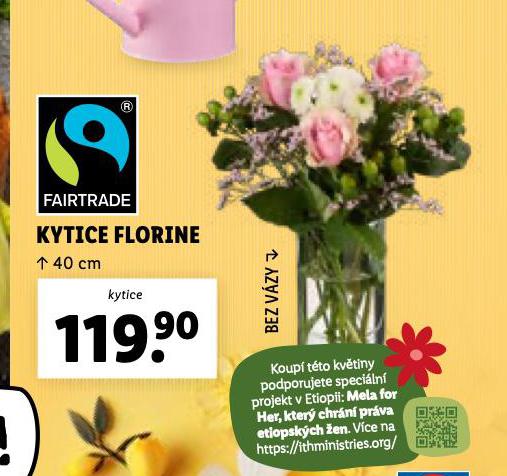 KYTICE FLORINE