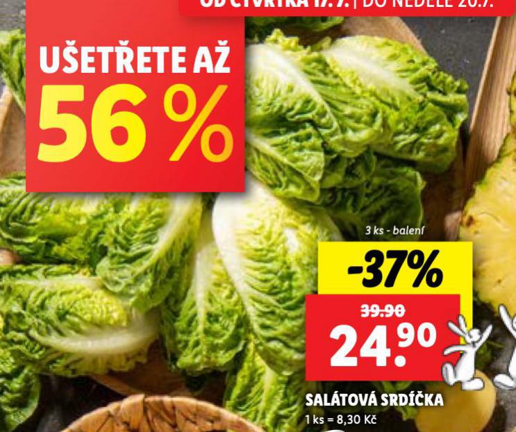 SALTOV SRDKA