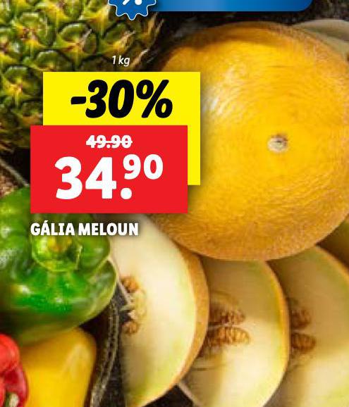 GLIA MELOUN