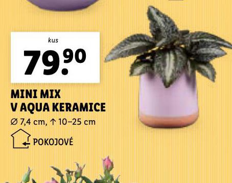 MINI MIX AQUA V KERAMICE
