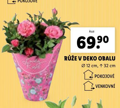 RَE V DEKO OBALU