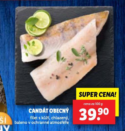 CANDT OBECN
