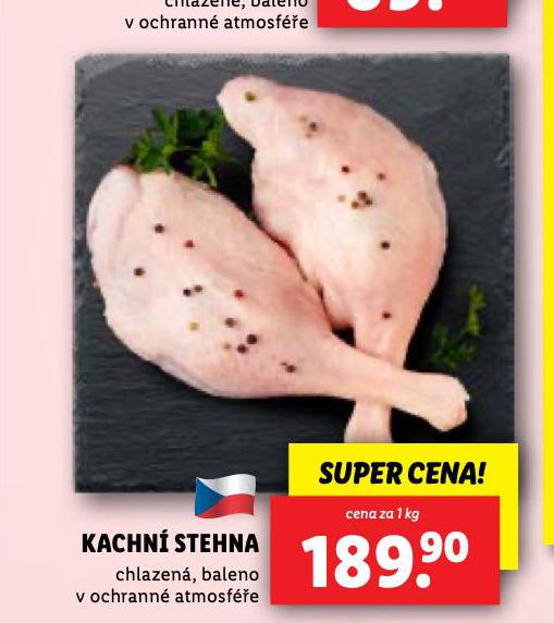 KACHN STEHNA