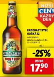 PIVO RADEGAST
