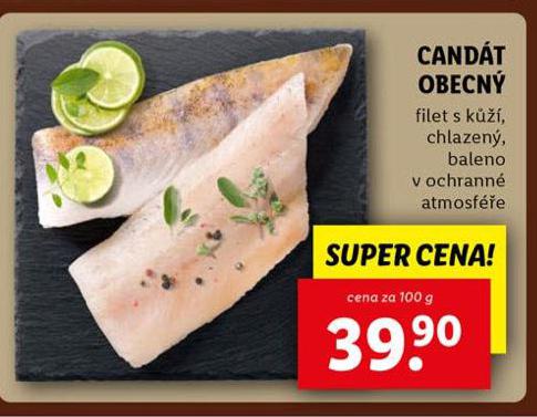 CANDT OBECN
