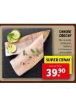 CANDT OBECN
