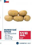 BRAMBORY RAN NEPRAN