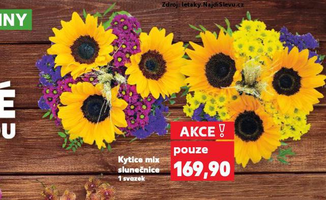 KYTICE MIX SLUNENICE