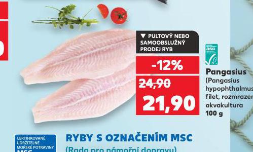 PANGASIUS