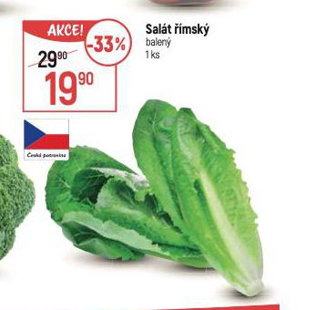 SALT MSK