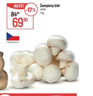 AMPIONY BL