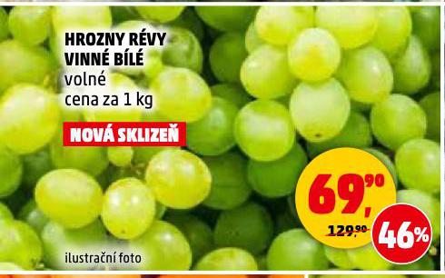 HROZNY RVY VINN BL