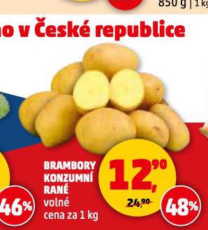BRAMBORY KONZUMN RAN