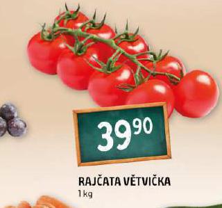 RAJATA VTVIKA