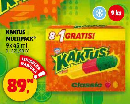 ZMRZLINA KAKTUS