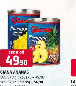 GIANA ANANAS KOUSKY