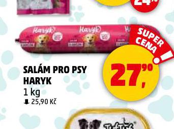 HARYK SALM PRO PSY