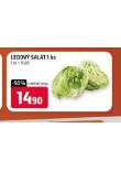 LEDOV SALT