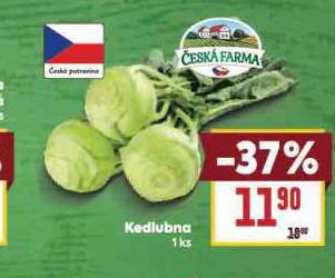KEDLUBNA