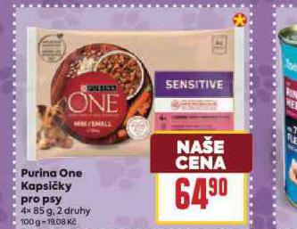 PURINA ONE KAPSIKY PRO PSY