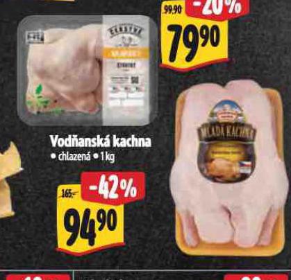 VODANSK KACHNA