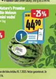 BIO MELOUN MINI VODN
