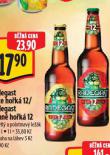 PIVO RADEGAST RYZE HOK 12
