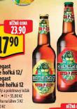 PIVO RADEGAST TEMN HOK 12