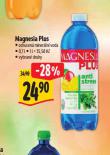 MAGNESIA PLUS