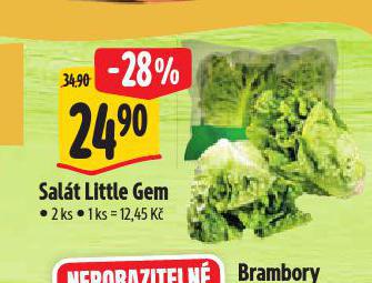 SALT LITTLE GEM