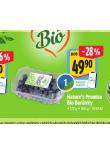 BIO BORVKY