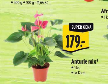 ANTURE MIX