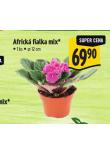 AFRICK FIALKA MIX