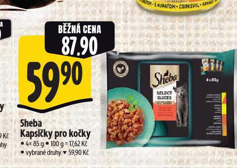 SHEBA KAPSIKY PRO KOKY